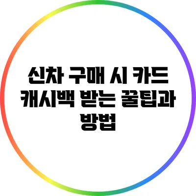 신차 구매 시 카드 캐시백 받는 꿀팁과 방법