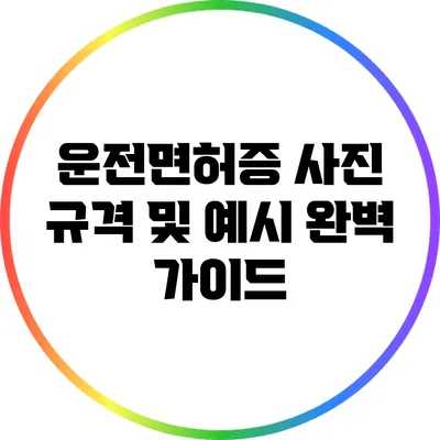 운전면허증 사진 규격 및 예시: 완벽 가이드