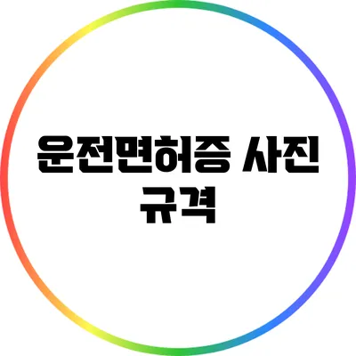 운전면허증 사진 규격
