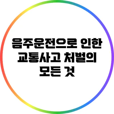 음주운전으로 인한 교통사고 처벌의 모든 것