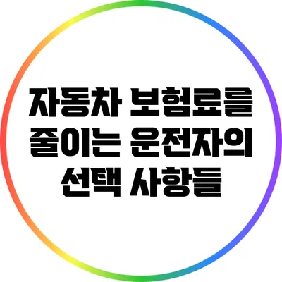 자동차 보험료를 줄이는 운전자의 선택 사항들