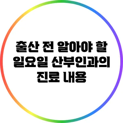 출산 전 알아야 할 일요일 산부인과의 진료 내용