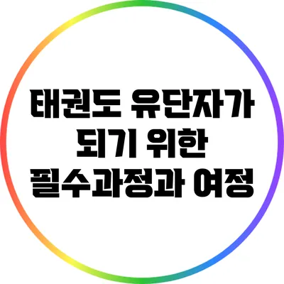 태권도 유단자가 되기 위한 필수과정과 여정