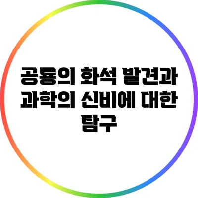 공룡의 화석 발견과 과학의 신비에 대한 탐구