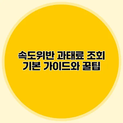 속도위반 과태료 조회: 기본 가이드와 꿀팁
