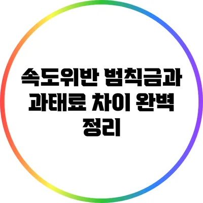 속도위반 범칙금과 과태료 차이 완벽 정리