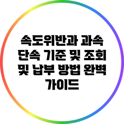 속도위반과 과속 단속 기준 및 조회 및 납부 방법 완벽 가이드