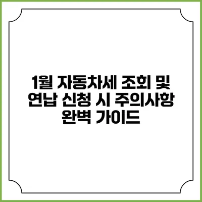 1월 자동차세 조회 및 연납 신청 시 주의사항 완벽 가이드