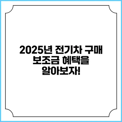 2025년 전기차 구매 보조금 혜택을 알아보자!