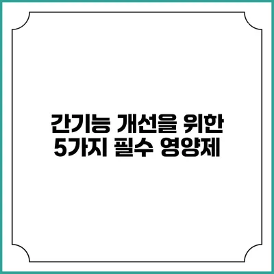 간기능 개선을 위한 5가지 필수 영양제