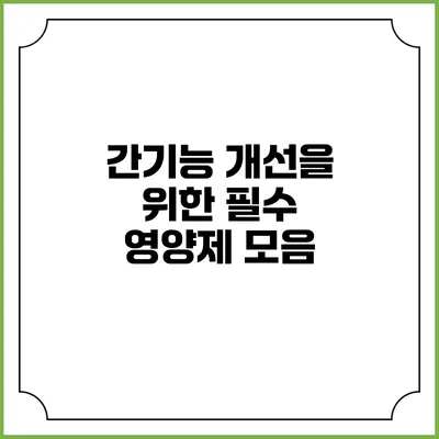간기능 개선을 위한 필수 영양제 모음