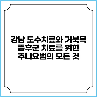 강남 도수치료와 거북목 증후군 치료를 위한 추나요법의 모든 것