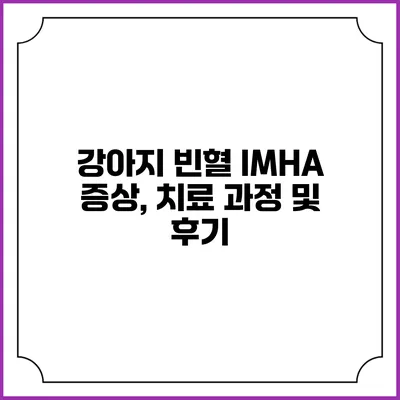 강아지 빈혈 IMHA: 증상, 치료 과정 및 후기