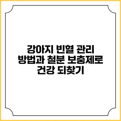 강아지 빈혈 관리 방법과 철분 보충제로 건강 되찾기