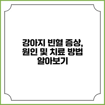 강아지 빈혈: 증상, 원인 및 치료 방법 알아보기