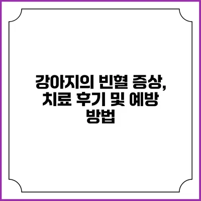 강아지의 빈혈: 증상, 치료 후기 및 예방 방법
