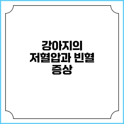 강아지의 저혈압과 빈혈: 증상