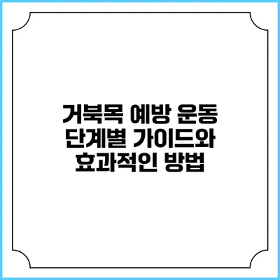 거북목 예방 운동: 단계별 가이드와 효과적인 방법
