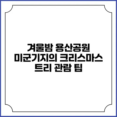 겨울밤 용산공원 미군기지의 크리스마스 트리 관람 팁