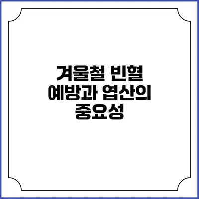 겨울철 빈혈 예방과 엽산의 중요성