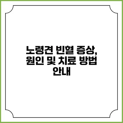 노령견 빈혈: 증상, 원인 및 치료 방법 안내