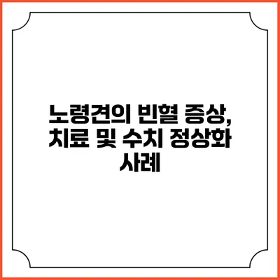 노령견의 빈혈: 증상, 치료 및 수치 정상화 사례