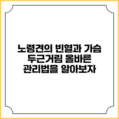 노령견의 빈혈과 가슴 두근거림: 올바른 관리법을 알아보자