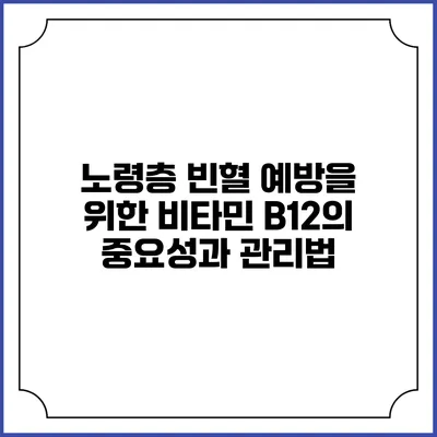 노령층 빈혈 예방을 위한 비타민 B12의 중요성과 관리법