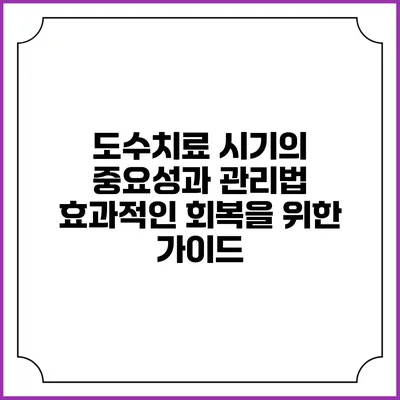 도수치료 시기의 중요성과 관리법: 효과적인 회복을 위한 가이드