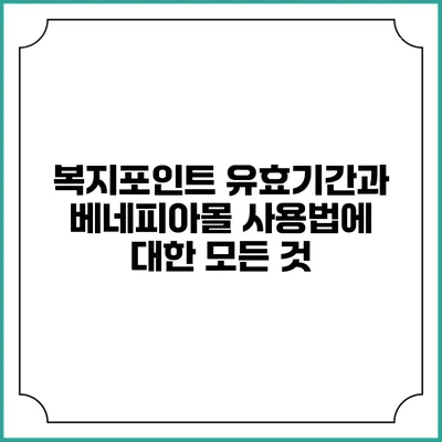 복지포인트 유효기간과 베네피아몰 사용법에 대한 모든 것