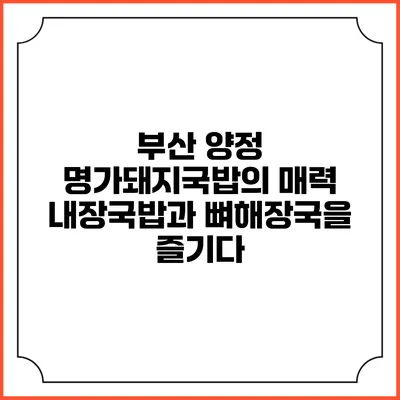 부산 양정 명가돼지국밥의 매력: 내장국밥과 뼈해장국을 즐기다
