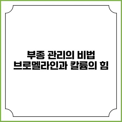 부종 관리의 비법: 브로멜라인과 칼륨의 힘