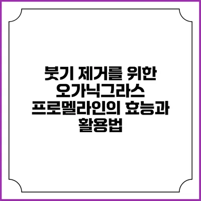 붓기 제거를 위한 오가닉그라스 프로멜라인의 효능과 활용법