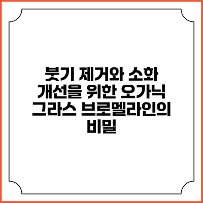 붓기 제거와 소화 개선을 위한 오가닉 그라스 브로멜라인의 비밀