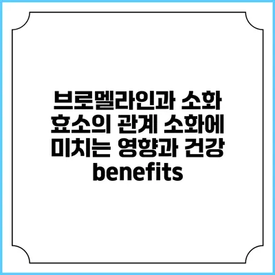 브로멜라인과 소화 효소의 관계: 소화에 미치는 영향과 건강 benefits