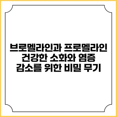 브로멜라인과 프로멜라인: 건강한 소화와 염증 감소를 위한 비밀 무기