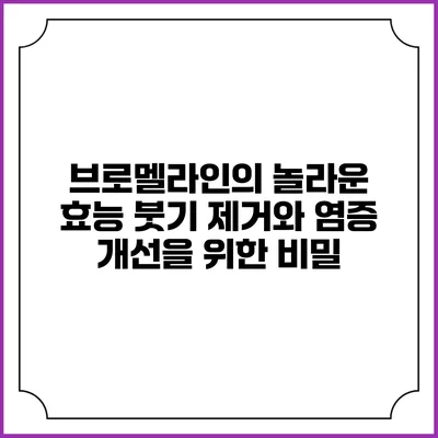 브로멜라인의 놀라운 효능: 붓기 제거와 염증 개선을 위한 비밀