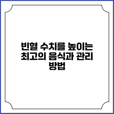빈혈 수치를 높이는 최고의 음식과 관리 방법