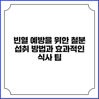 빈혈 예방을 위한 철분 섭취 방법과 효과적인 식사 팁