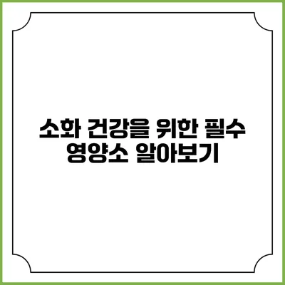 소화 건강을 위한 필수 영양소 알아보기