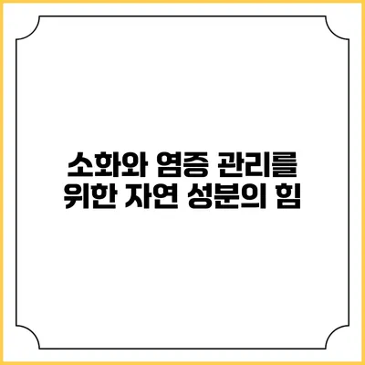 소화와 염증 관리를 위한 자연 성분의 힘