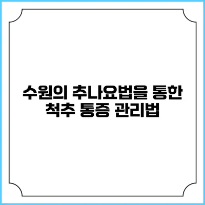 수원의 추나요법을 통한 척추 통증 관리법