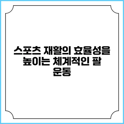 스포츠 재활의 효율성을 높이는 체계적인 팔 운동
