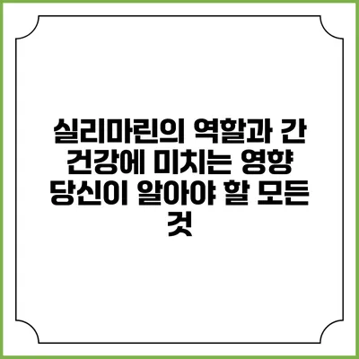실리마린의 역할과 간 건강에 미치는 영향: 당신이 알아야 할 모든 것