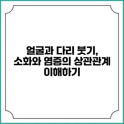 얼굴과 다리 붓기, 소화와 염증의 상관관계 이해하기