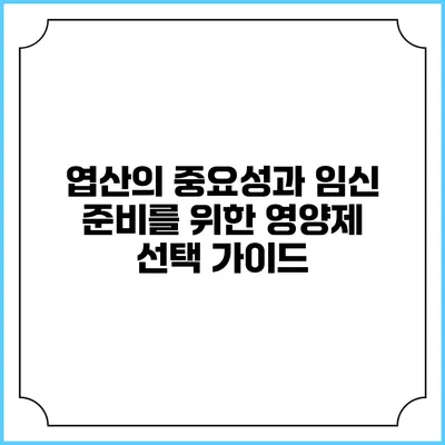 엽산의 중요성과 임신 준비를 위한 영양제 선택 가이드