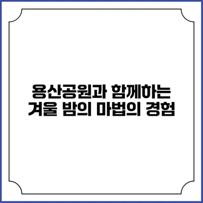 용산공원과 함께하는 겨울 밤의 마법의 경험