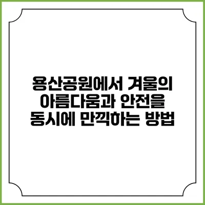 용산공원에서 겨울의 아름다움과 안전을 동시에 만끽하는 방법