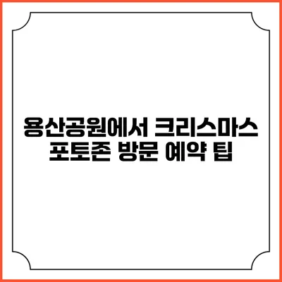 용산공원에서 크리스마스 포토존 방문 예약 팁