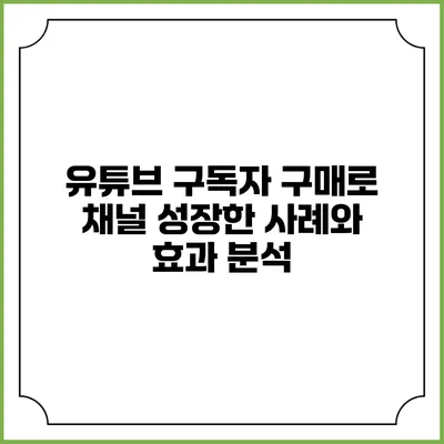 유튜브 구독자 구매로 채널 성장한 사례와 효과 분석